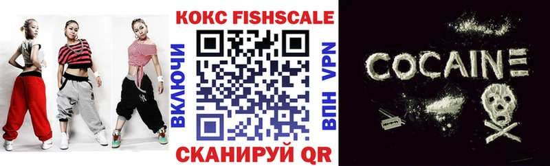 Cocaine Fish Scale  купить наркотик  Заинск 